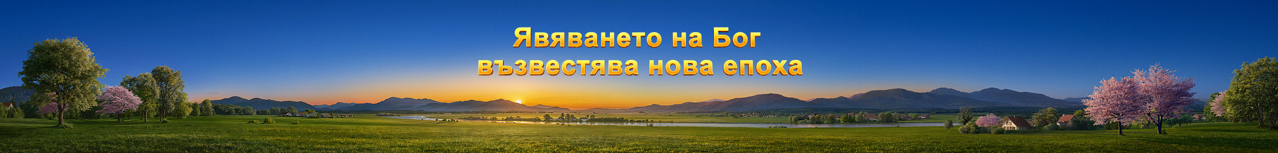 WB-关于我们Banner-初稿